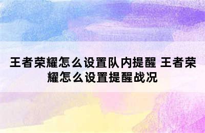 王者荣耀怎么设置队内提醒 王者荣耀怎么设置提醒战况